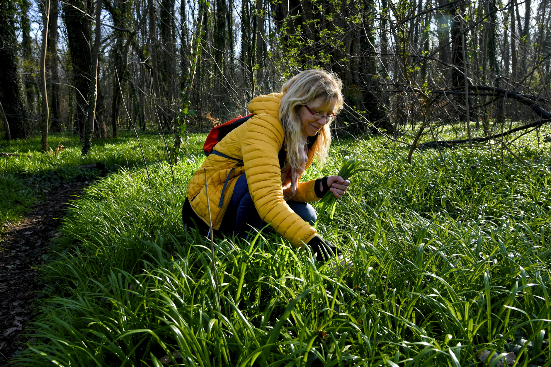 Der Treptower Park bietet viel Bärlauch und Berliner Lauch.