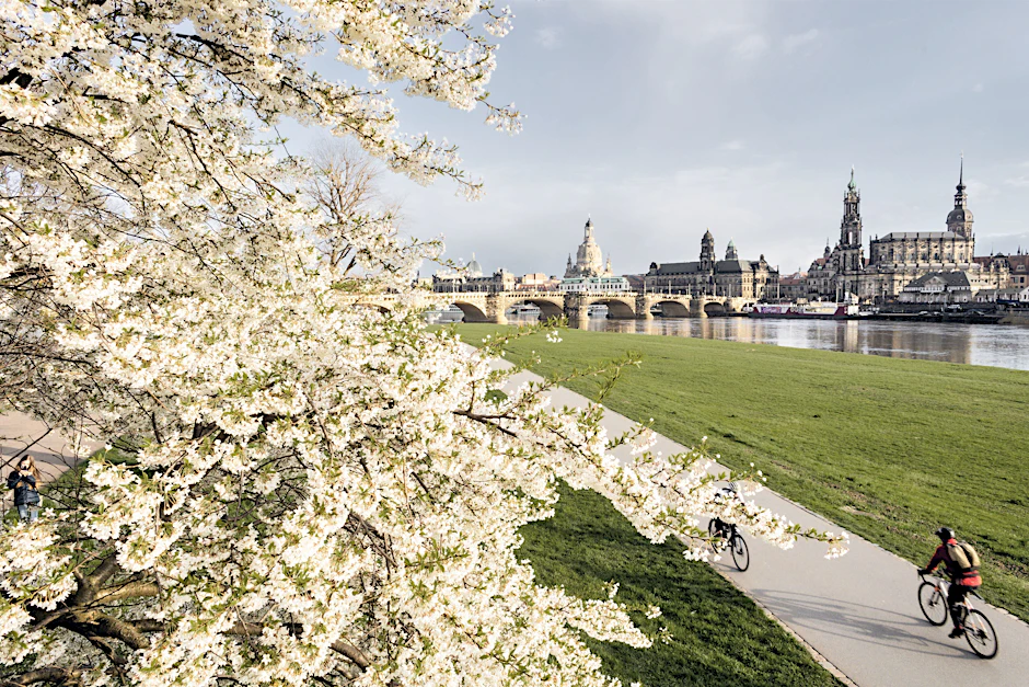 Liefert Fahrspaß im Frühling: Der Elbradweg führt auch durch das malerische Dresden.