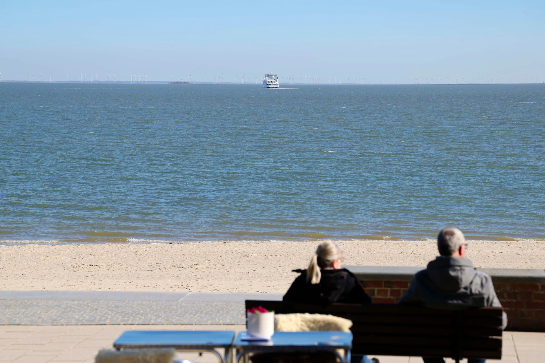 Wyk auf Föhr: Die beliebte Nordseeinsel kämpft zunehmend mit einer wachsenden Rattenpopulation.