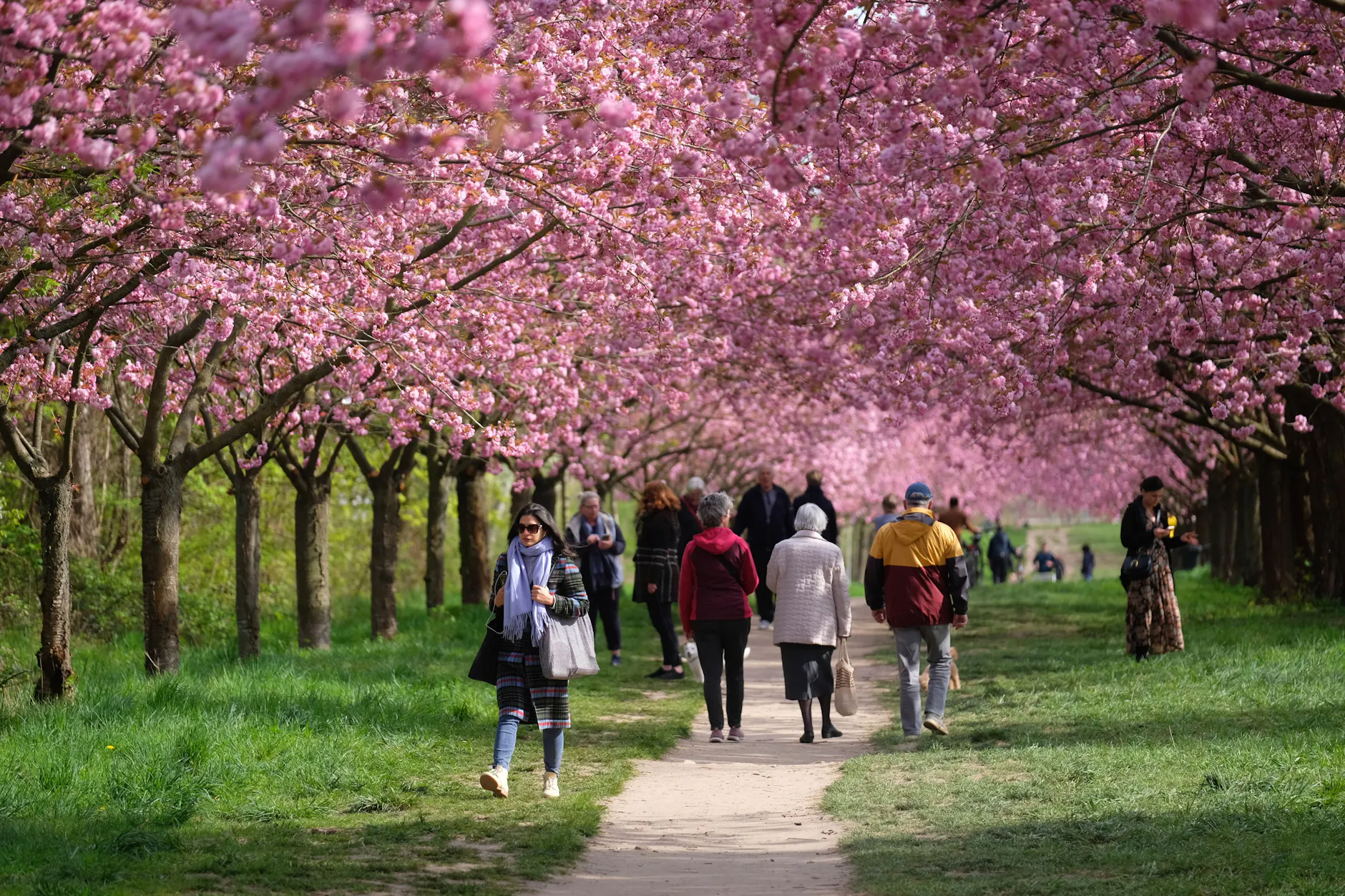 Dieses Ausflugsziel sollte jeder Berliner mal gesehen haben.
