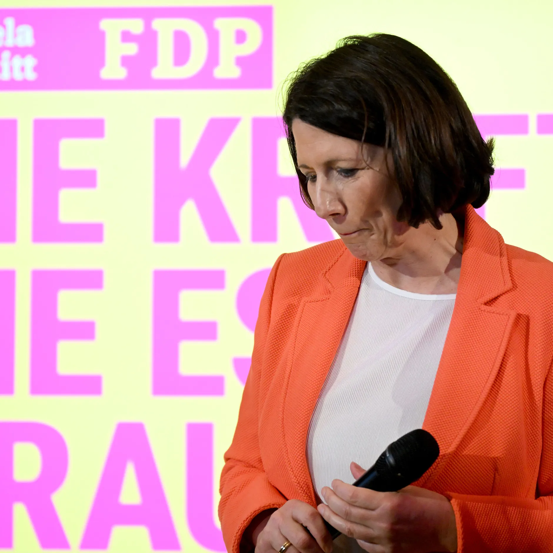 Image - Das Scheitern der FDP in Rheinland-Pfalz: Vom Genscher-Erbe zum Trümmerhaufen