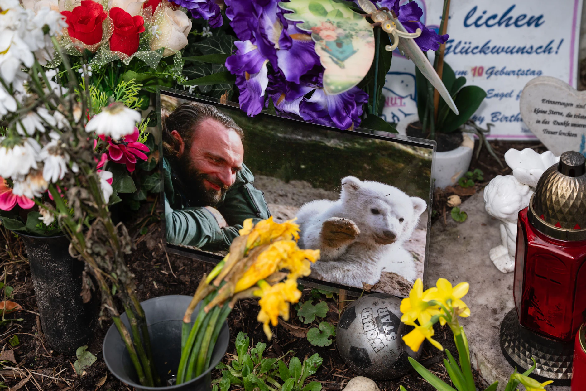 Neben zahlreichen Blumen und kleinen Geschenken sind auch Fotos von Thomas Dörflein und Knut an der Grabstätte.