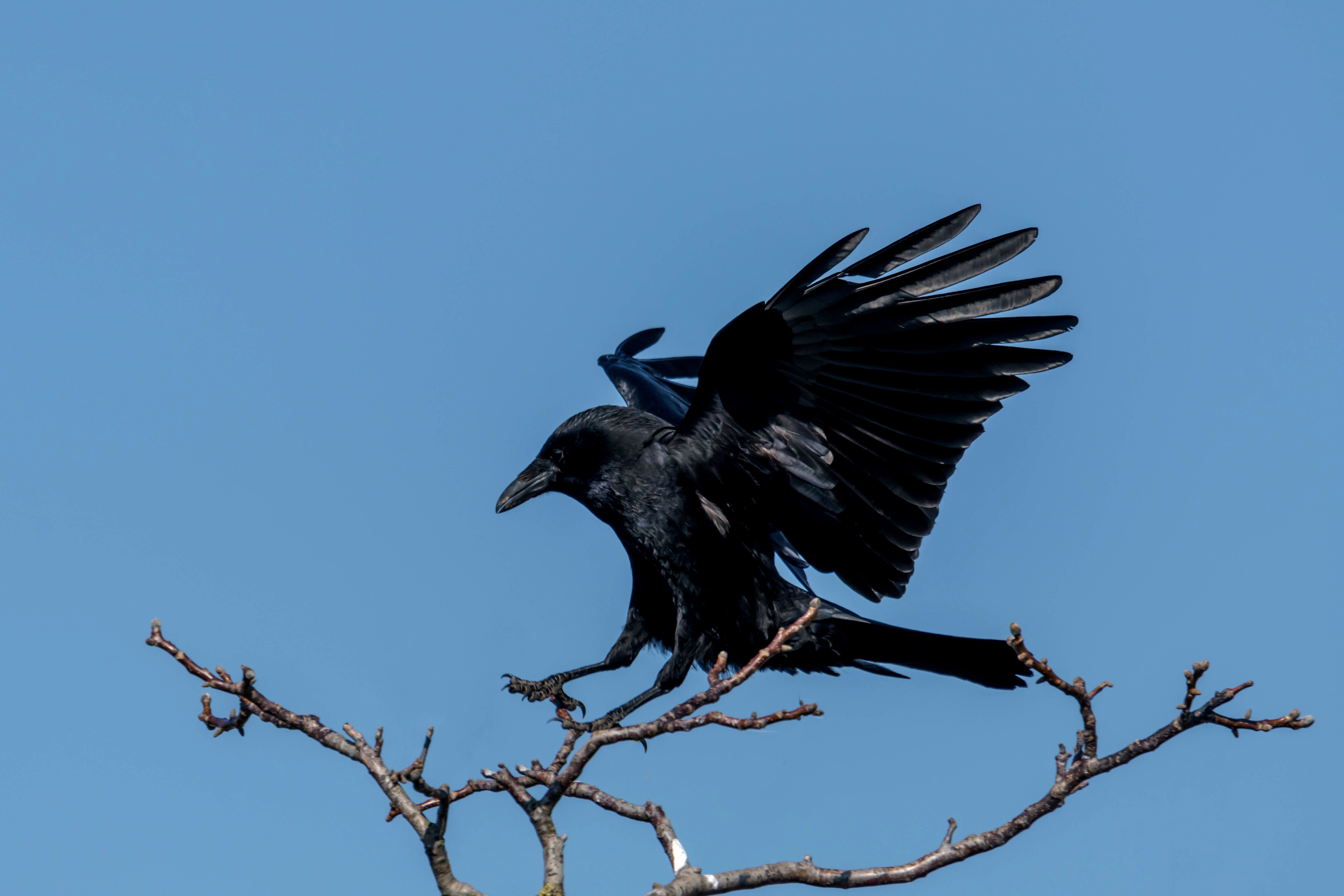 Deshalb sollte man „Sanditz“ von Lukas Rietzschel lesen