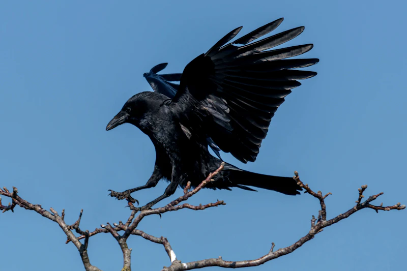 Deshalb sollte man „Sanditz“ von Lukas Rietzschel lesen
