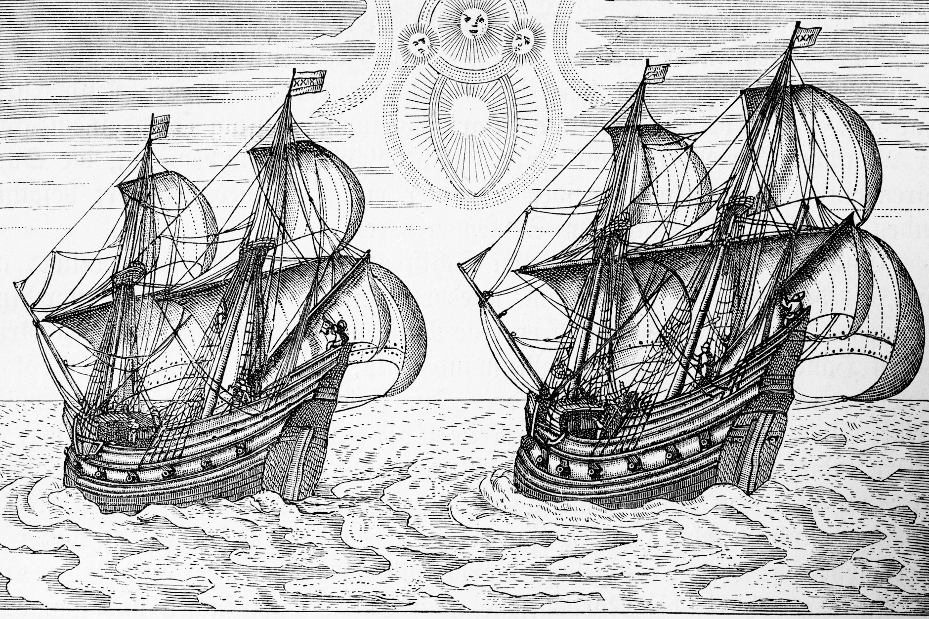 Seefahrer brachten im 16. Jahrhundert die ersten Samen für Sonnenblumen nach Europa.