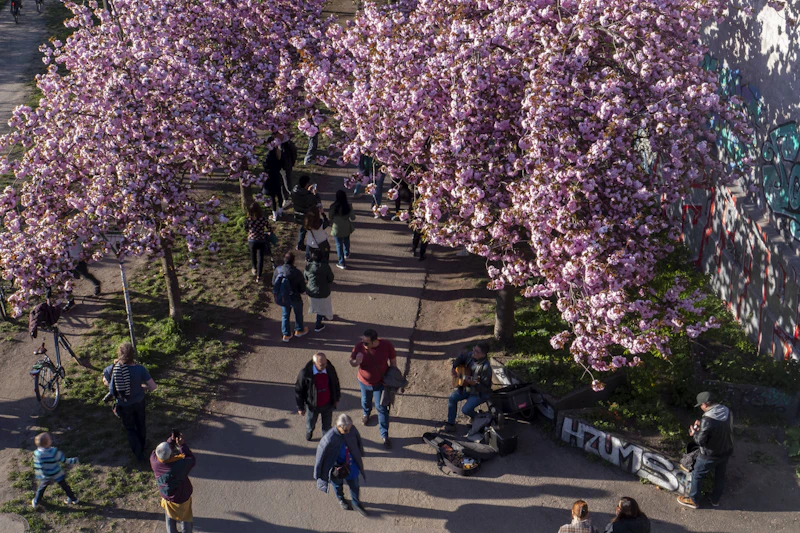 Kurze-Hose-Männer in Berlin: Diese fünf Frühlingstypen hat niemand vermisst