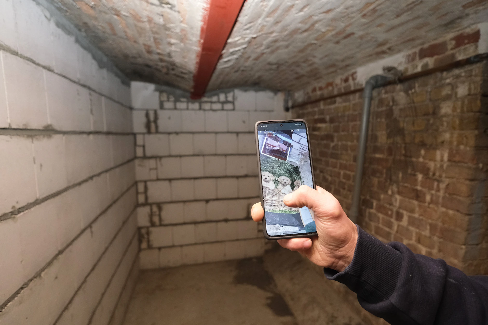 In diesem Keller wurde ein Teil der Hunde gefunden.