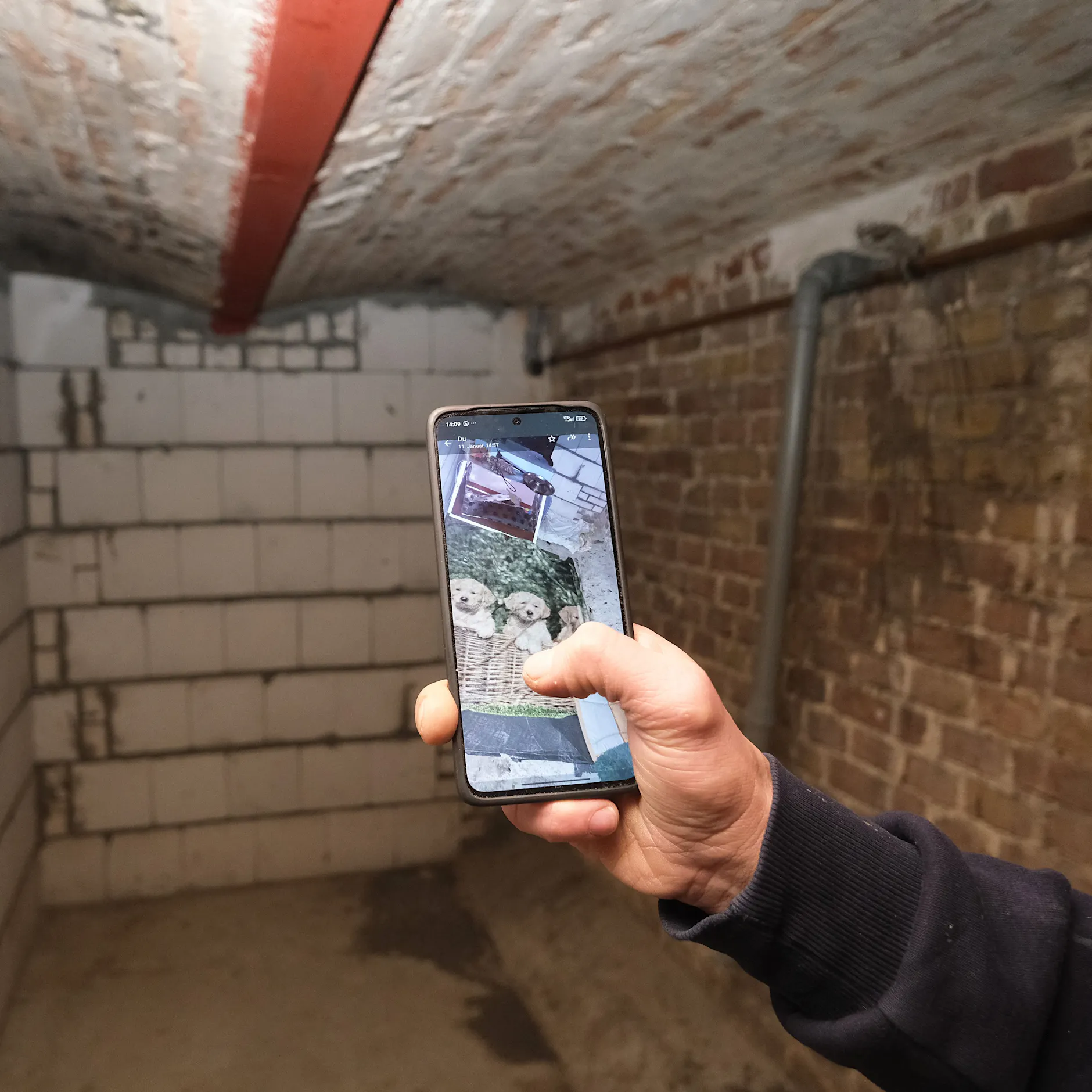 Köpenicker darf keine Tiere mehr halten – endgültiges Verbot