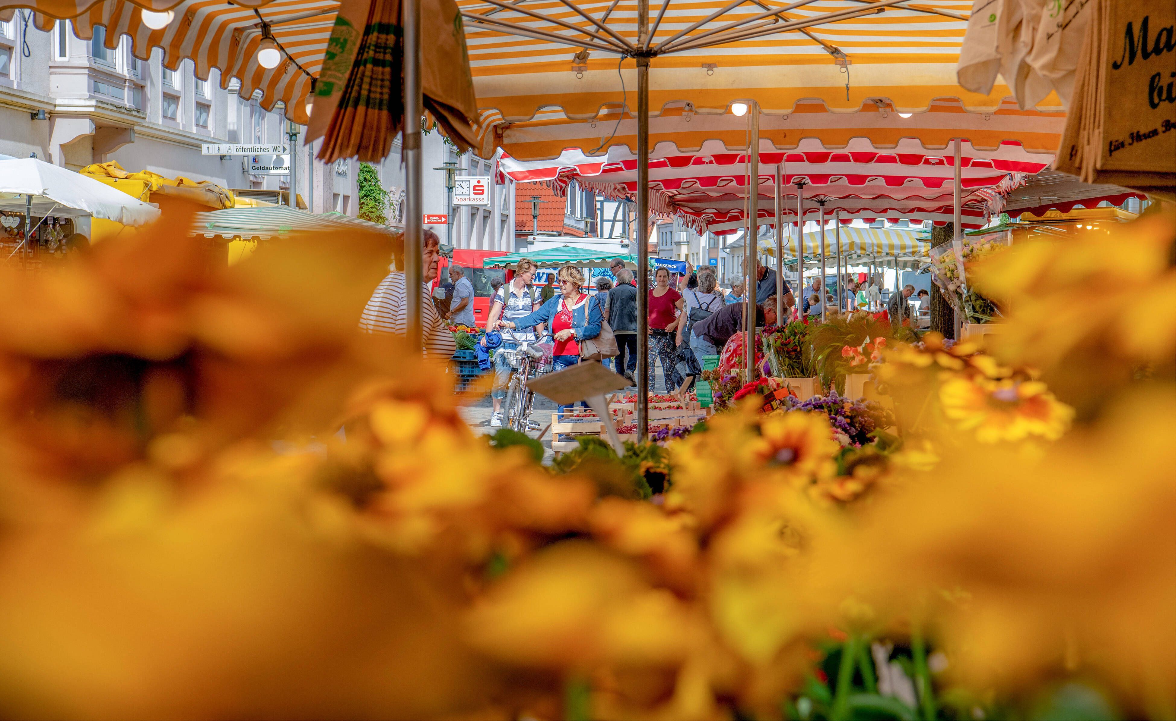Frische Luft, frisches Gemüse: Das sind Berlins schönste Wochenmärkte