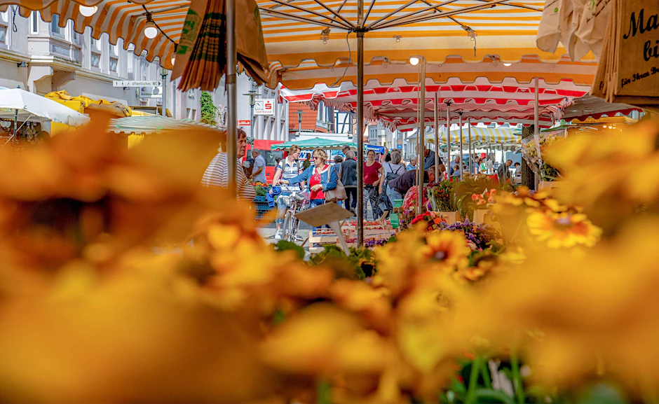 Umsonst und draußen: Ein Besuch auf dem Wochenmarkt hebt die Laune, versprochen.