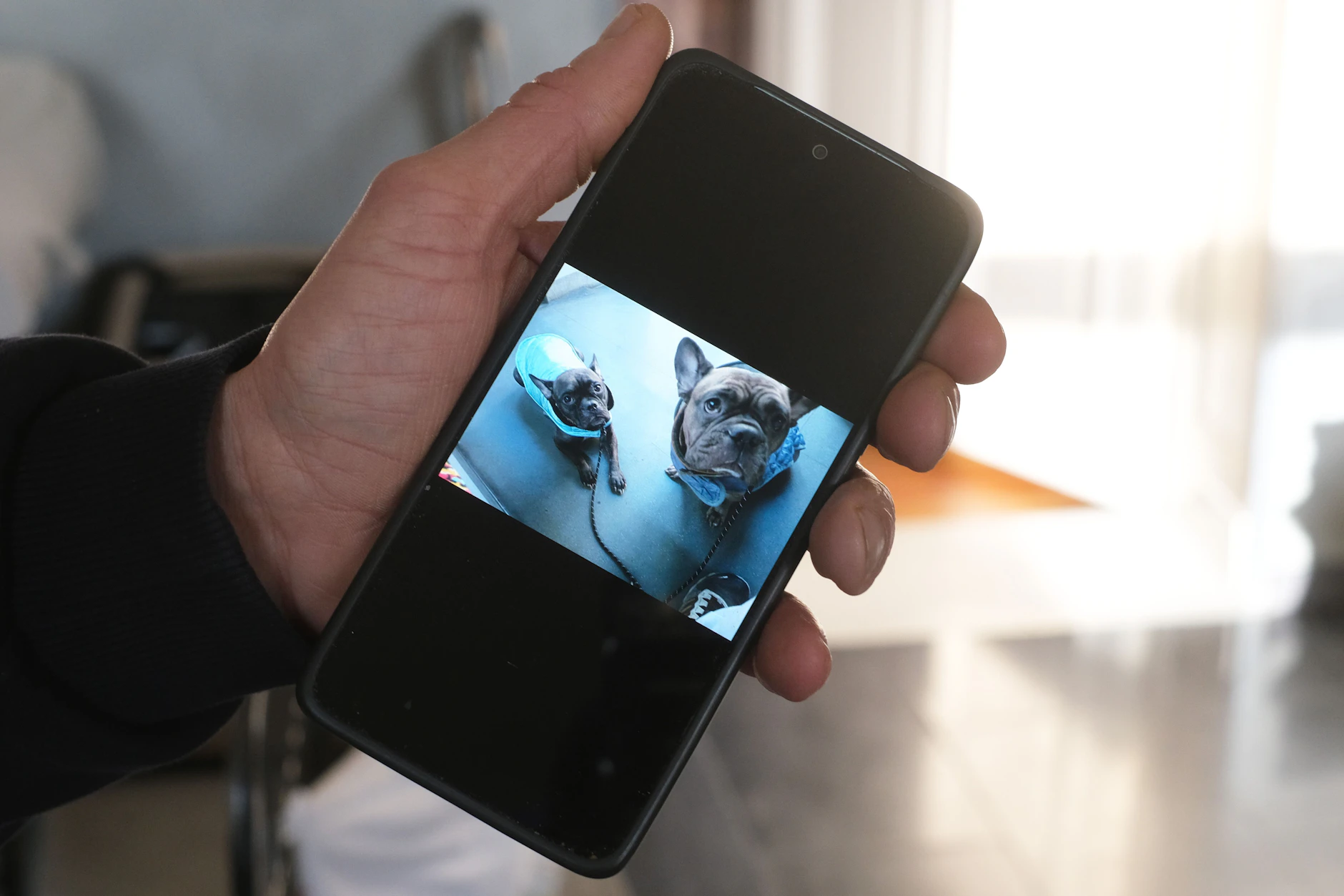 Der Besitzer zeigt in seiner Wohnung ein Foto von zwei seiner Hunde.