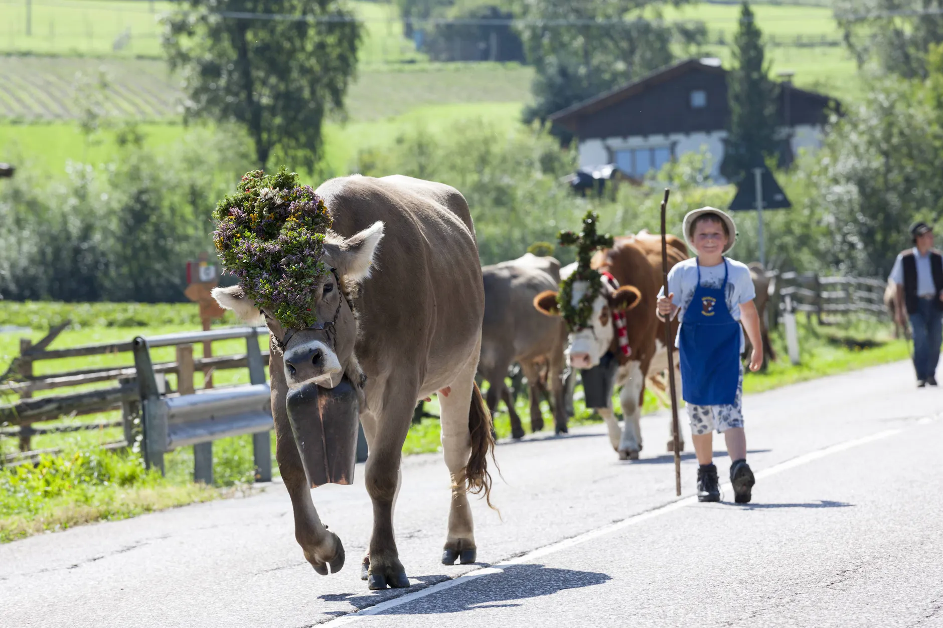 Das Forschungsprojekt soll im Sommer und Herbst stattfinden. Mit etwas Glück erleben die Besucher der Berghütte sogar den Almabtrieb im Martelltal.