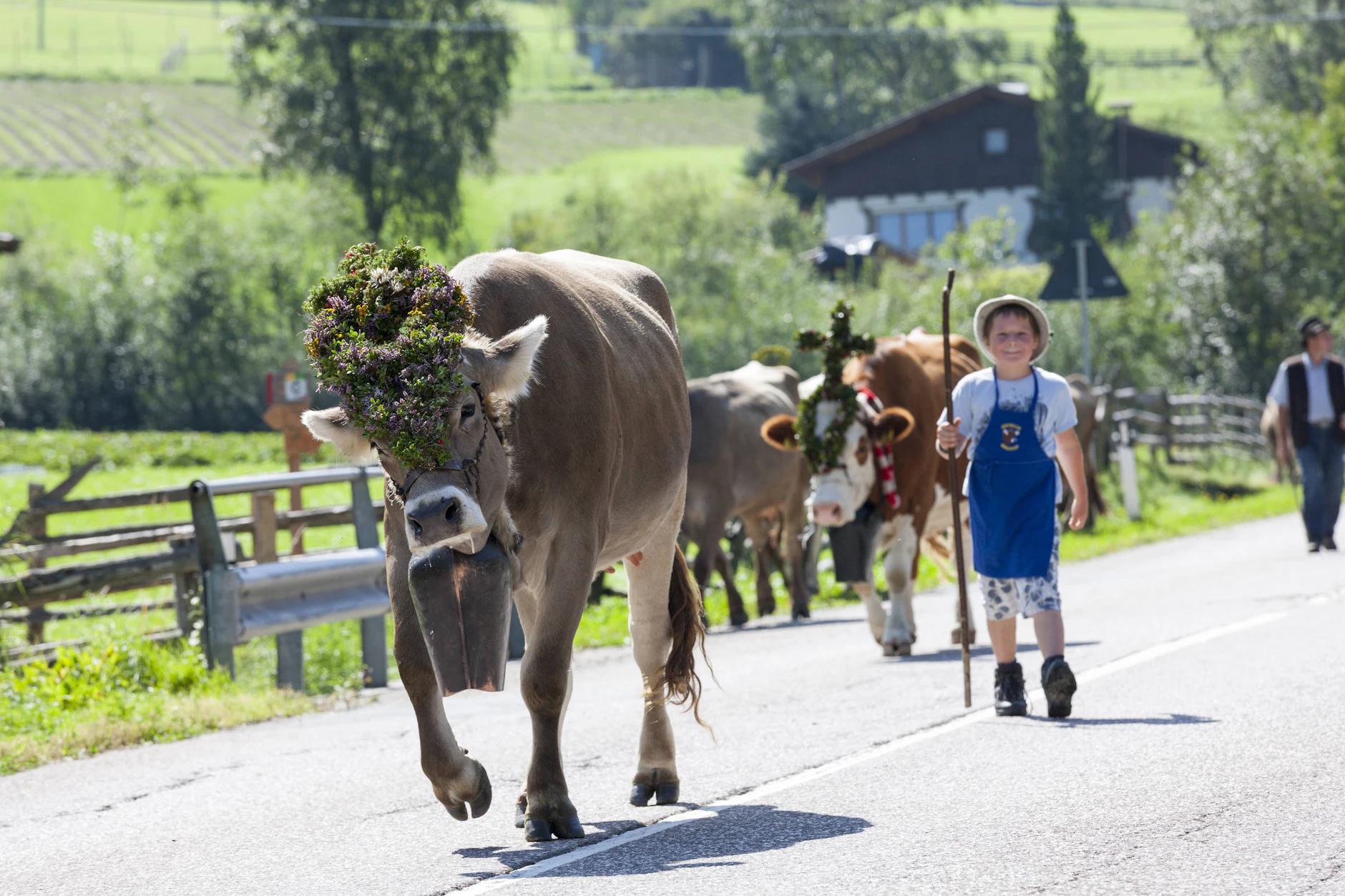 Das Forschungsprojekt soll im Sommer und Herbst stattfinden. Mit etwas Glück erleben die Besucher der Berghütte sogar den Almabtrieb im Martelltal.