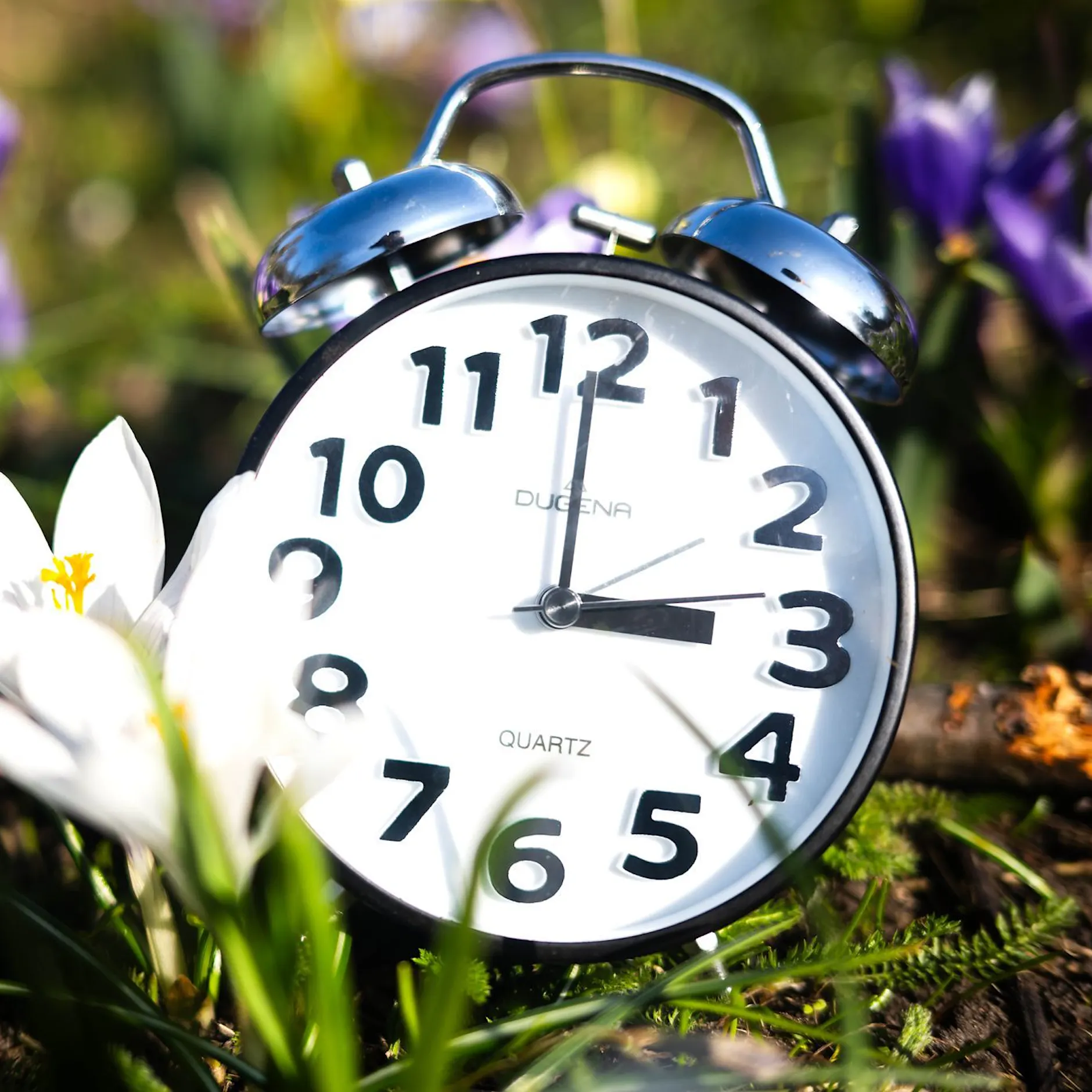 Zeitumstellung: Warum wird in Deutschland eigentlich an den Zeigern gedreht?