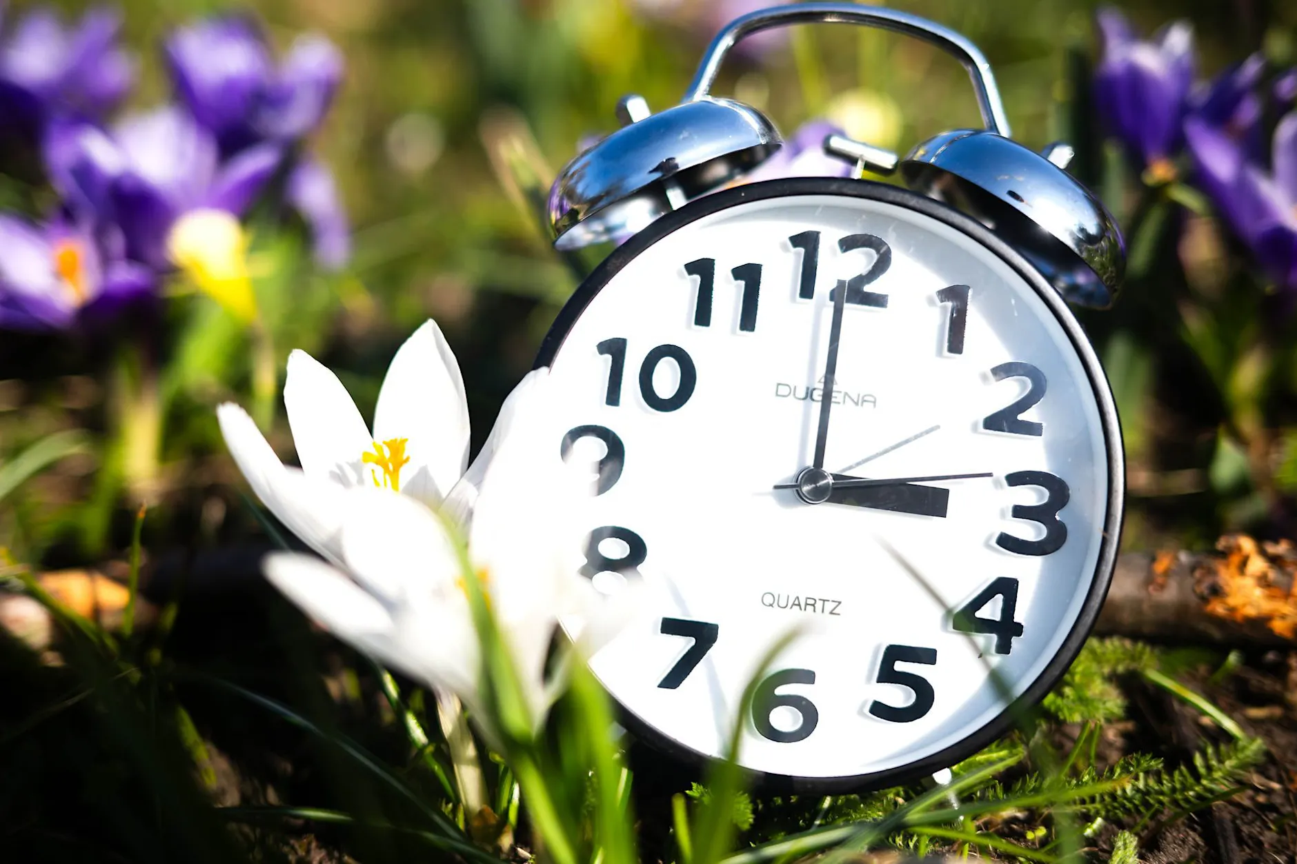 Zeitumstellung: Warum wird in Deutschland eigentlich an den Zeigern gedreht?