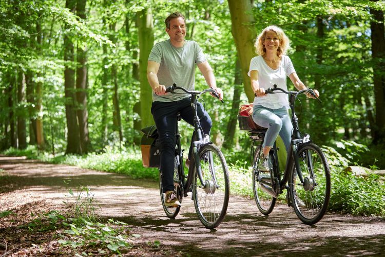 Radurlaub in Deutschland: Entdecken Sie mit uns die schönsten Strecken