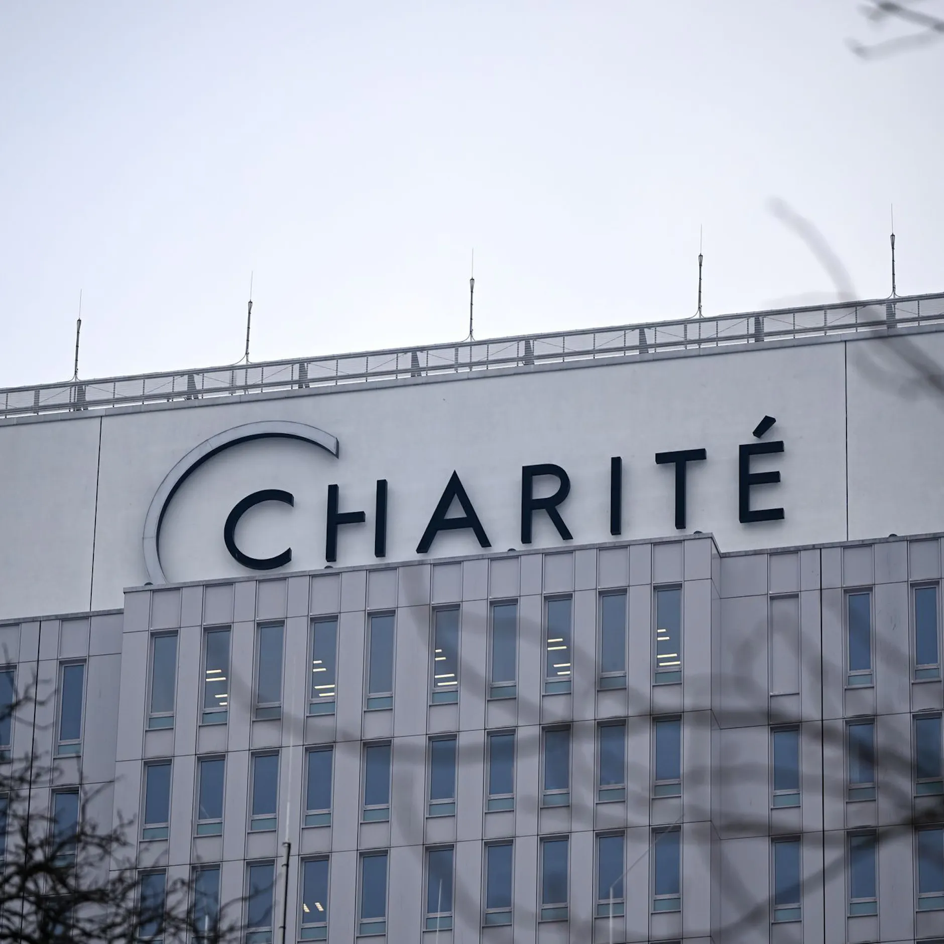 Image - Charité: Betrüger werben im Netz mit dem Logo des Uniklinikums