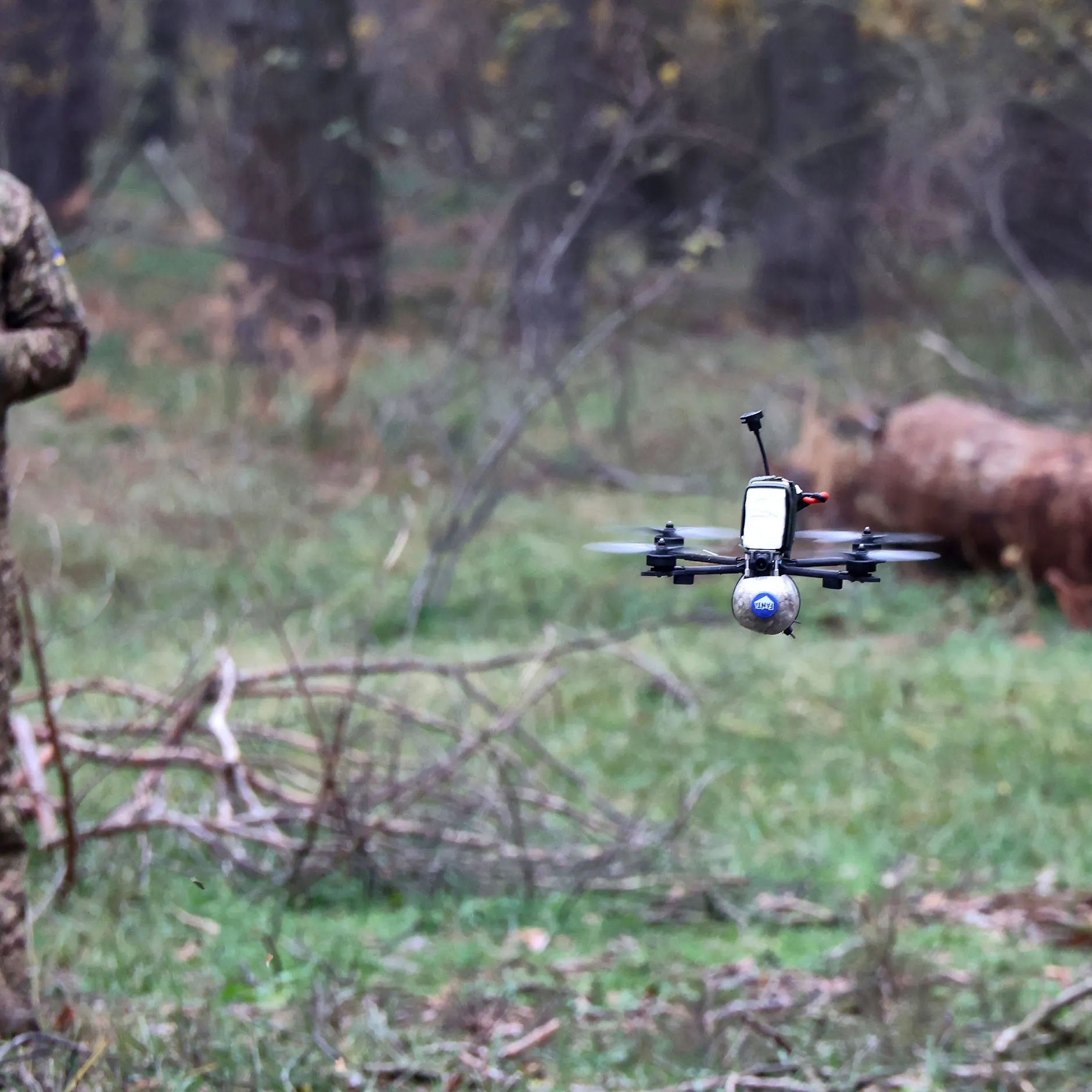 Image - Drohneneskalation am Finnischen Meerbusen: Ukraine greift Region um Sankt Petersburg an