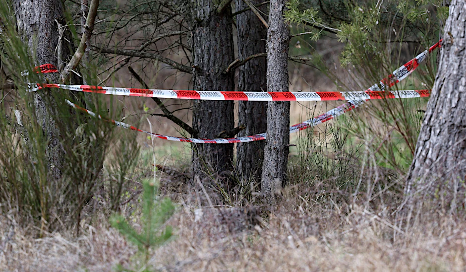 In diesem kleinen Waldstück bei Waren wurden menschliche Skelettteile entdeckt. 