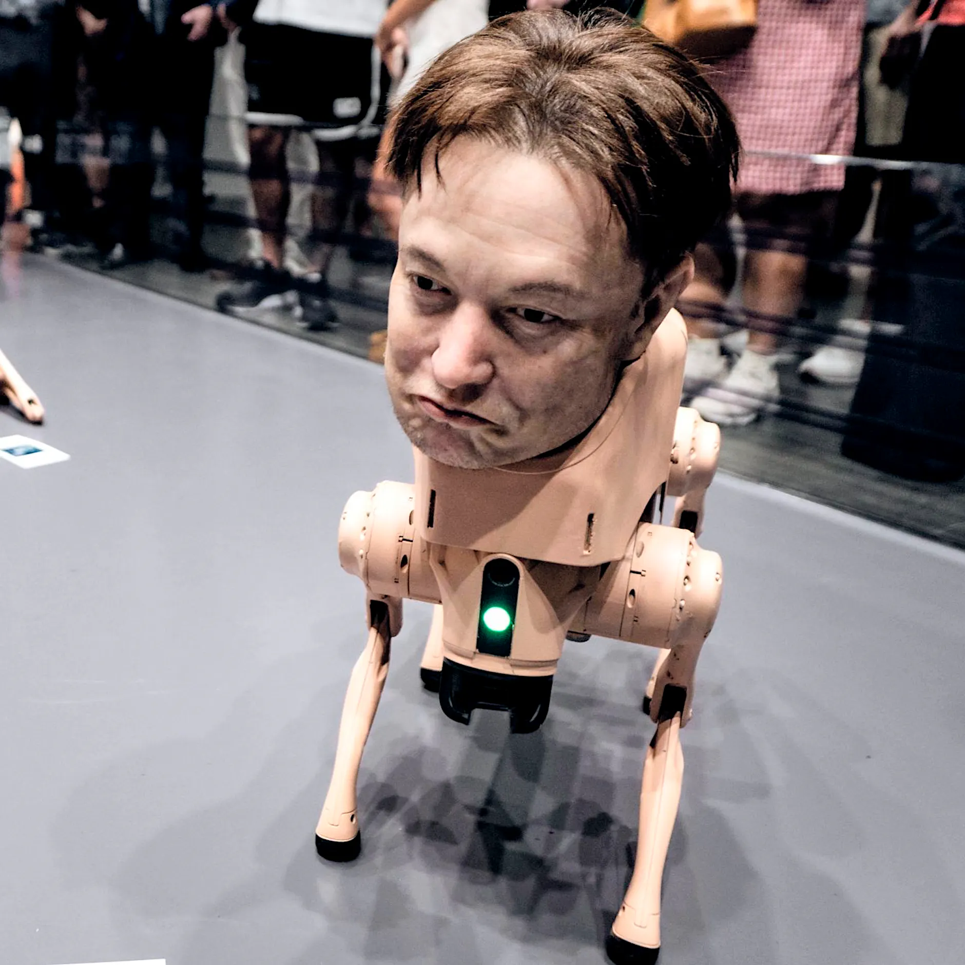 KI und ihre Folgen: Elon Musk verspricht Überfluss – doch wem wird er gehören?