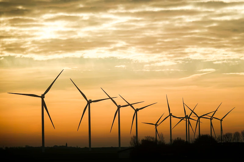 Brandenburg: Erneuerbare Energien dominieren Strommix