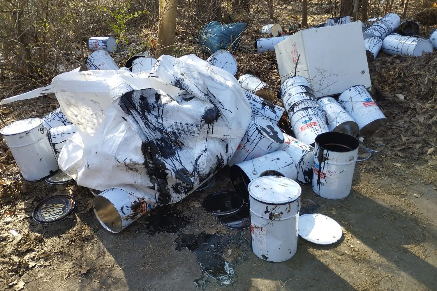 Direkt am Waldrand, ganz in der Nähe der Spree, wurde dieser Chemie-Müll abgekippt.