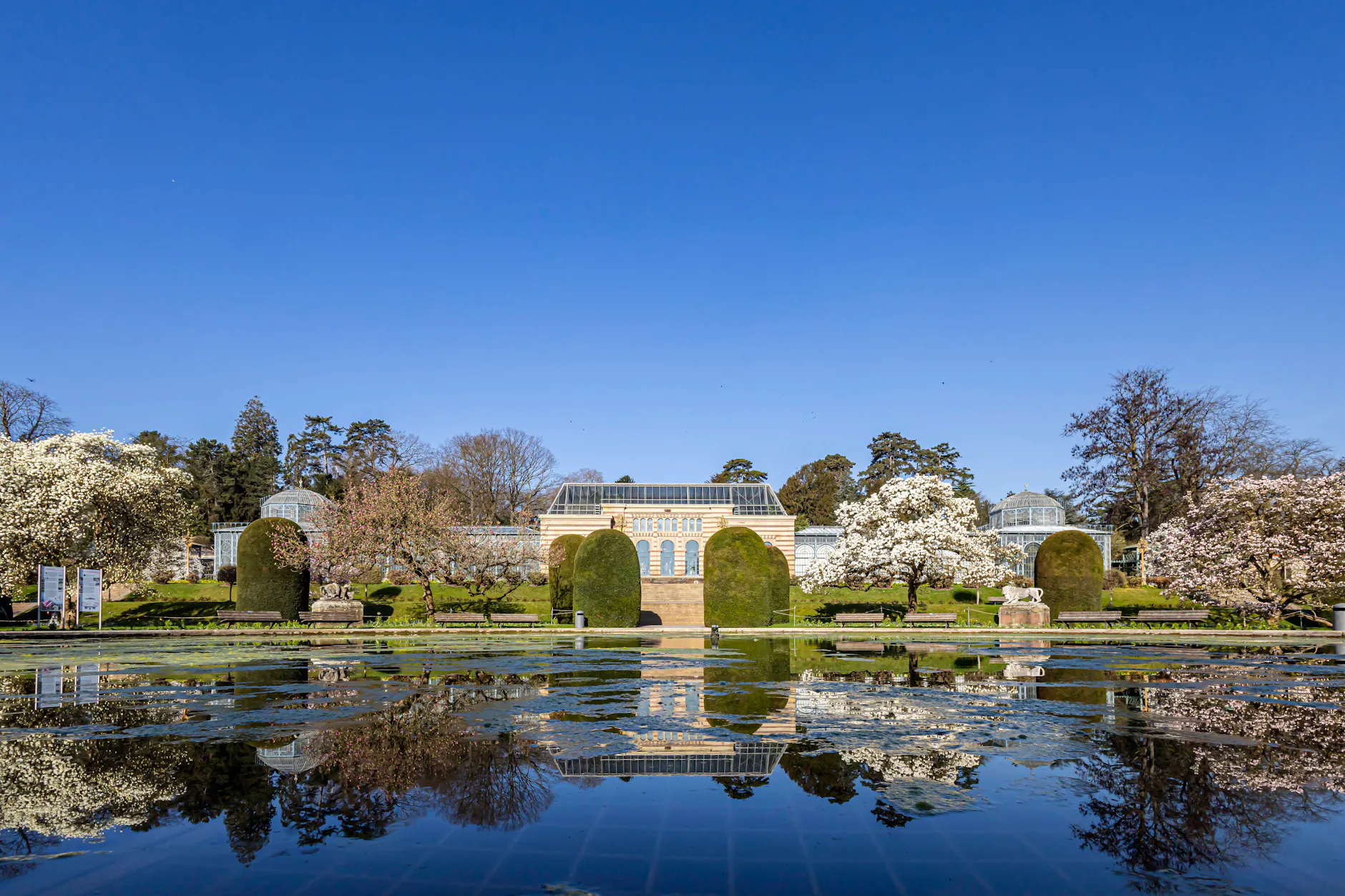 Ein Biologie-Student hat die Ameisenart im Zoologisch-Botonischen Garten in Stuttgart entdeckt.