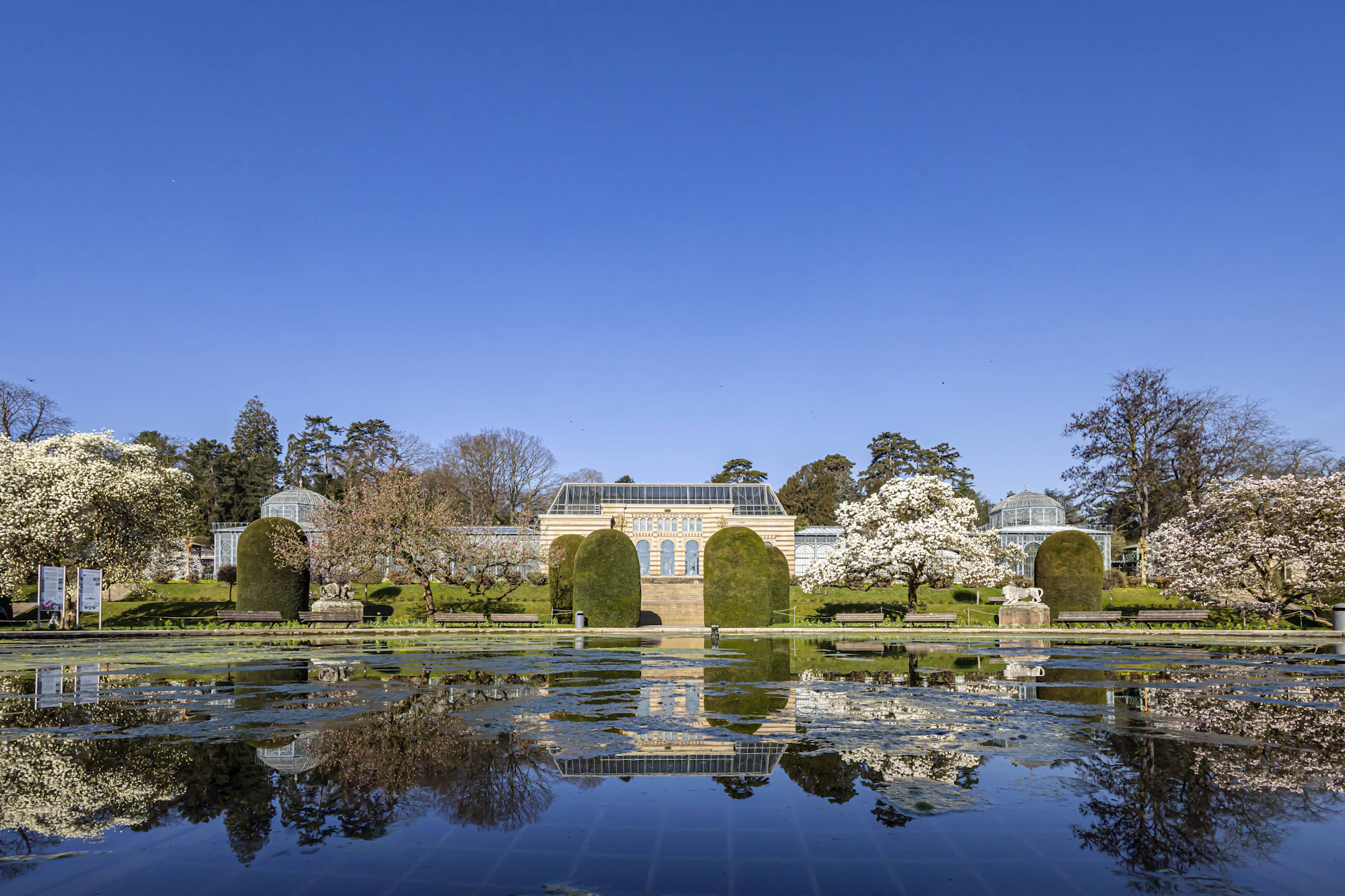 Ein Biologie-Student hat die Ameisenart im Zoologisch-Botonischen Garten in Stuttgart entdeckt.