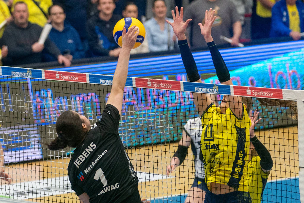 Playoff-Viertelfinale: Der SSC Schwerin (in Gelb) trifft am Samstagabend erneut in der Palmberg Arena auf Ladies in Black Aachen.