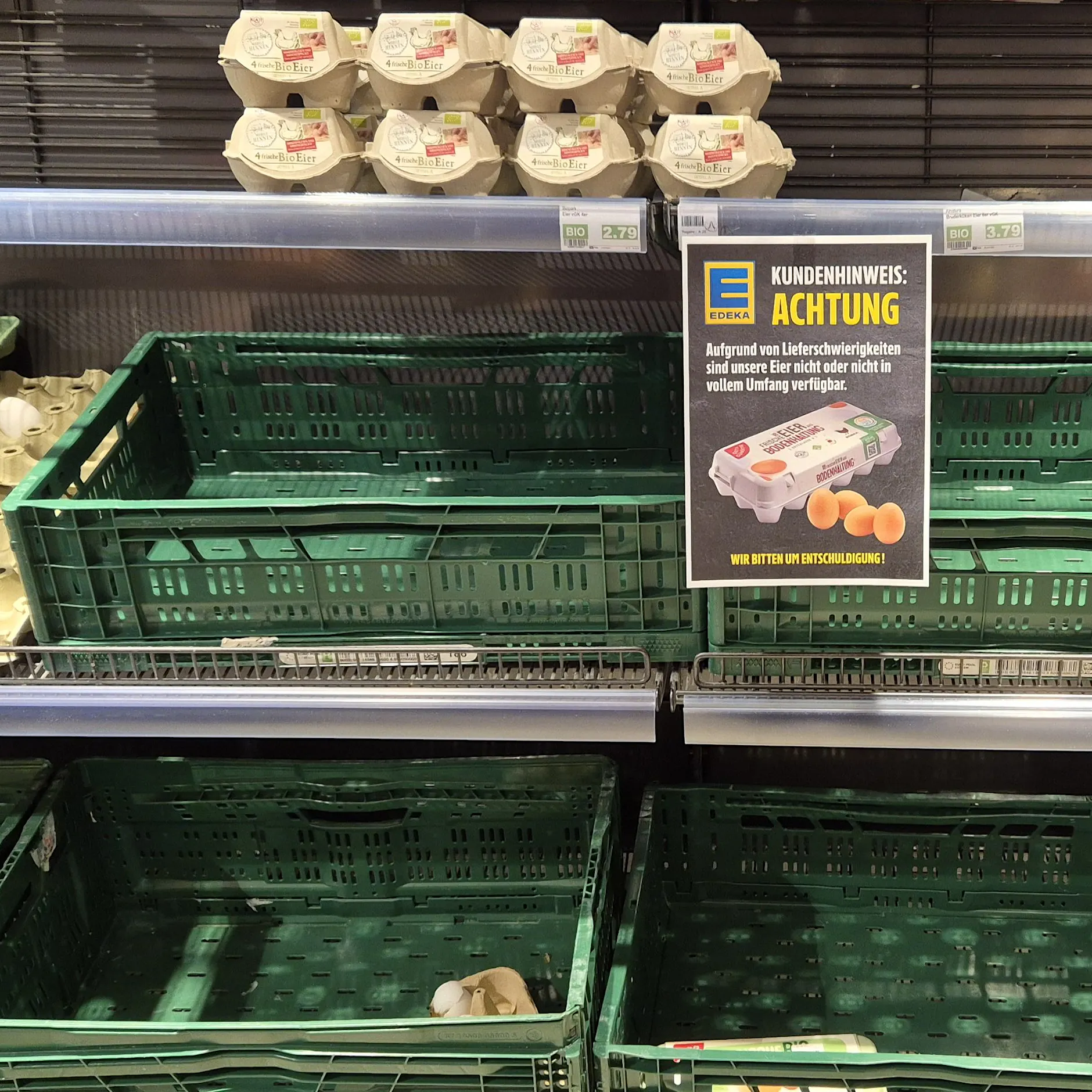 Kurz vor Ostern bleiben die Eier knapp: Geflügel-Krankheit breitet sich aus