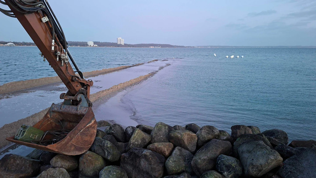 Ostsee: Buckelwal hat sich von Sandbank befreit