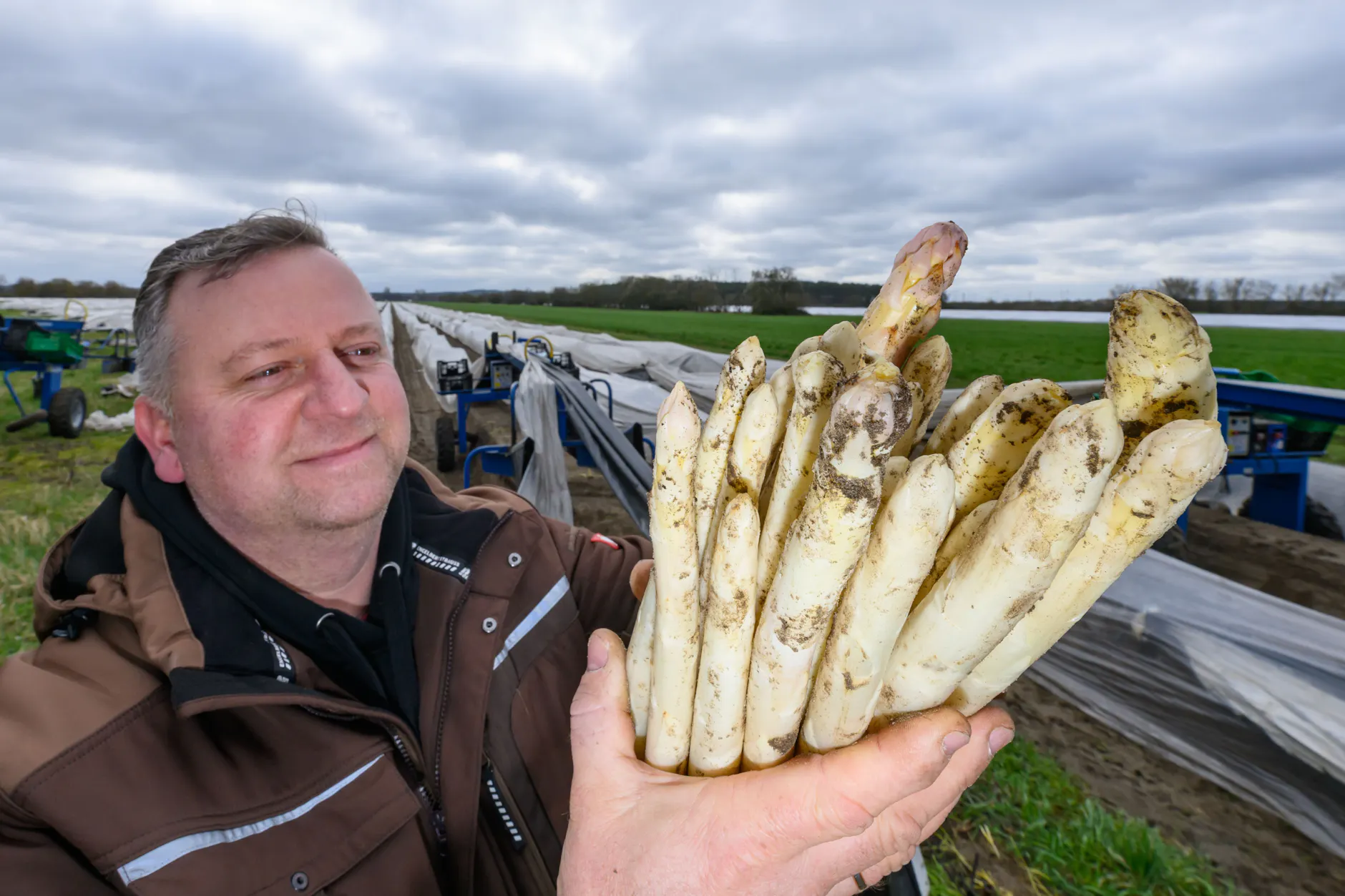 Auch im Spreewald sind die ersten Stangen verkaufsfertig. Marko Kabitschke, Leiter Gemüseanbau der Agrargenossenschaft Unterspreewald, zeigt frisch gestochenen Spargel.