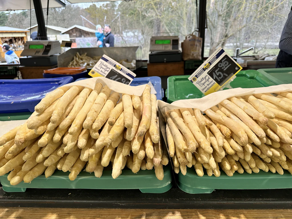 Der erste Beelitzer Spargel ist da: Was er wirklich kostet