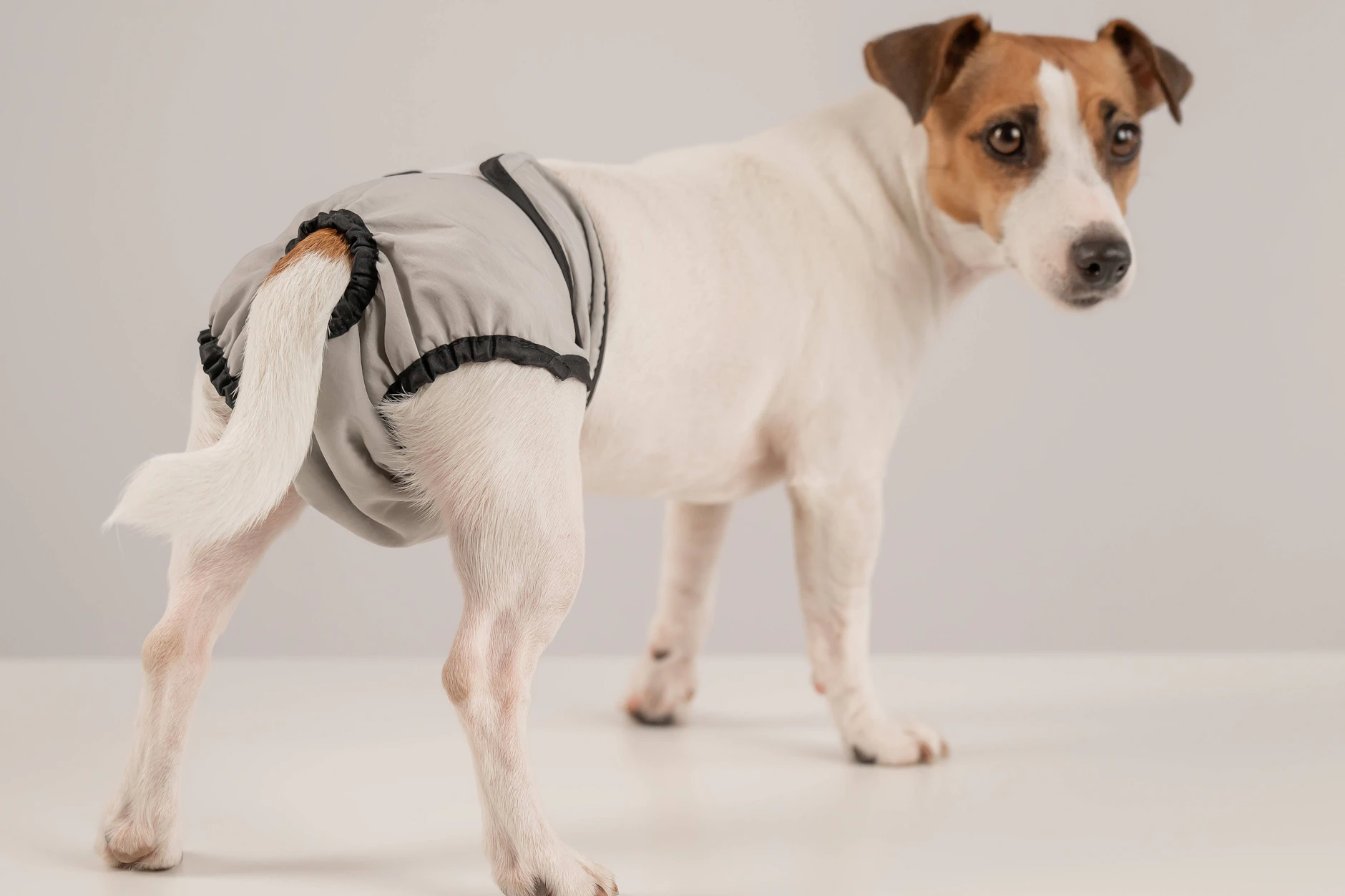 Wie lange tragen Sie Ihre Unterhosen? Es gibt klare Empfehlungen.