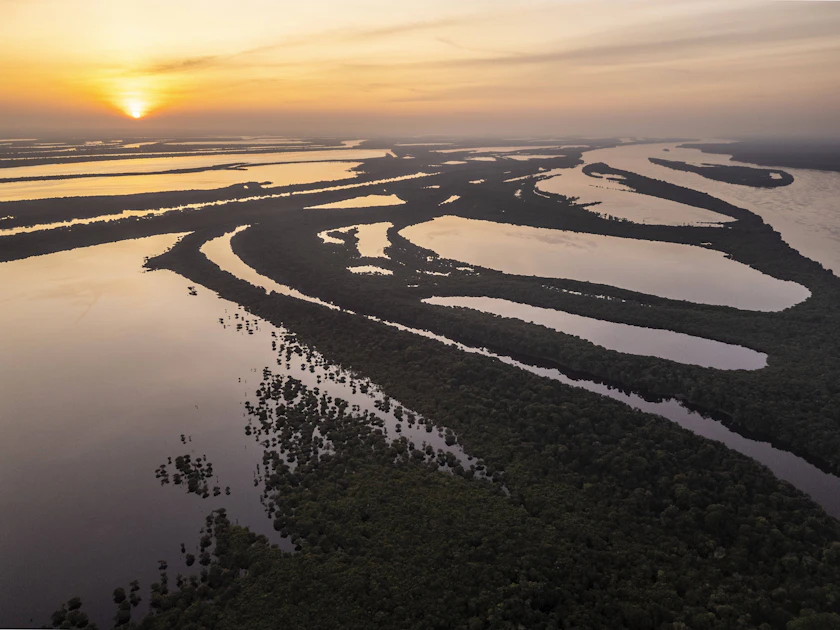 Längste Süßwasserwanderung der Welt: Amazonas-Staaten wollen Dorado ...