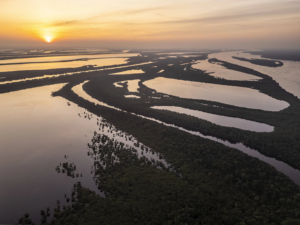 Längste Süßwasserwanderung der Welt: Amazonas-Staaten wollen Dorado-Wels retten