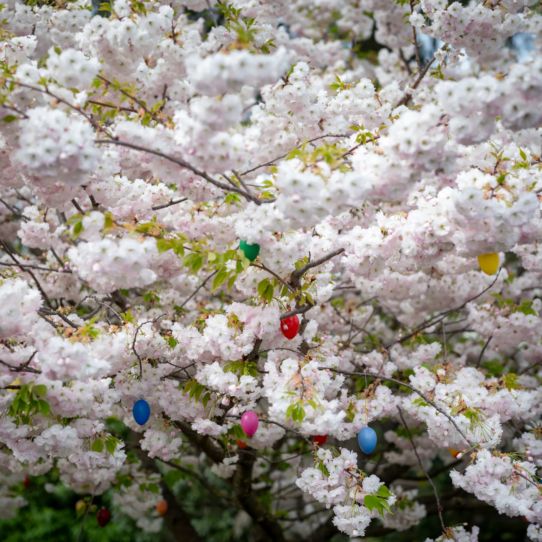 Image - Ritterfest oder Rock ’n’ Roll: Elf Highlights für ein perfektes Osterfest in Berlin