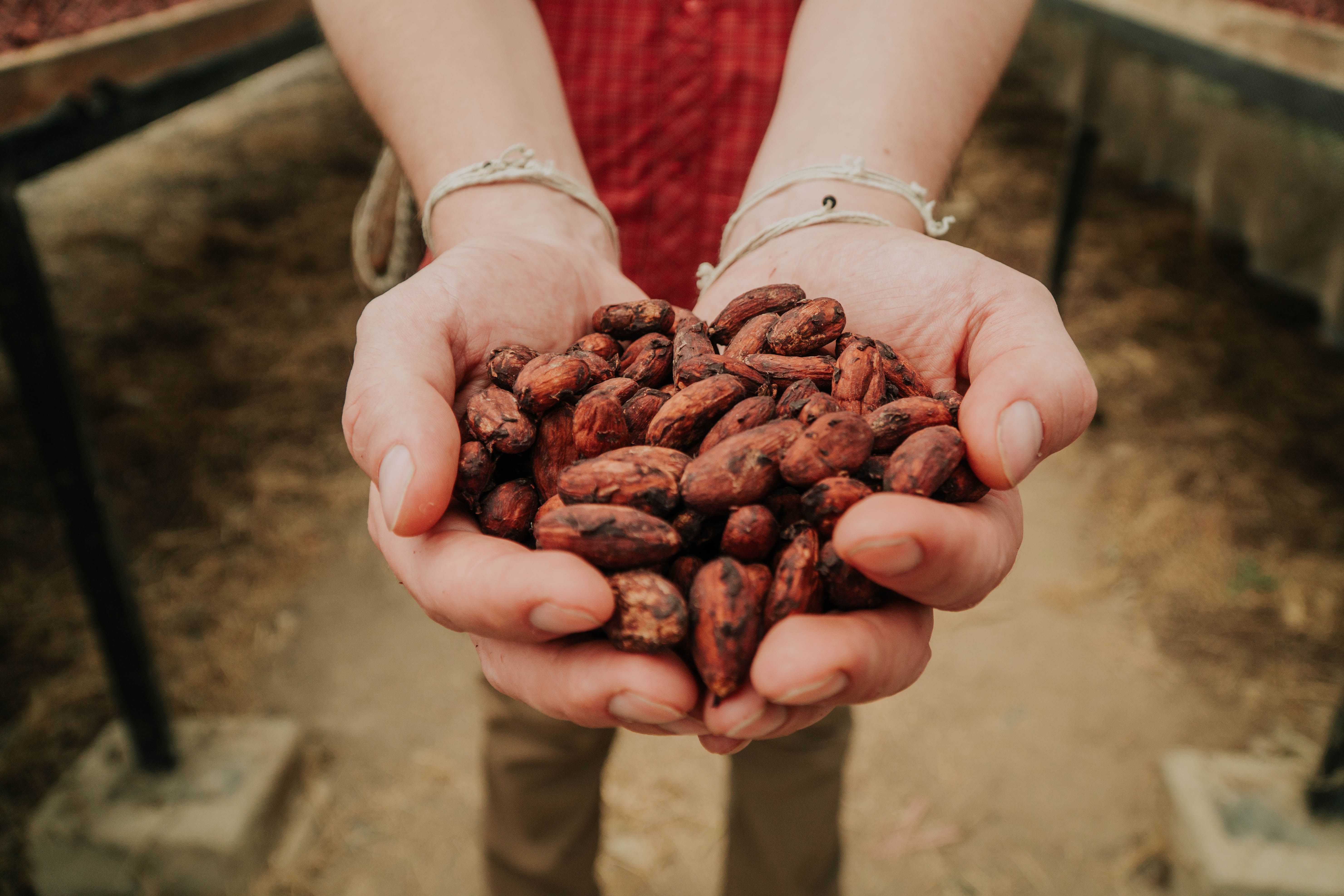 Vier Millionen Umsatz mit Kakao: Berliner Gründer kämpft mit Preisschock