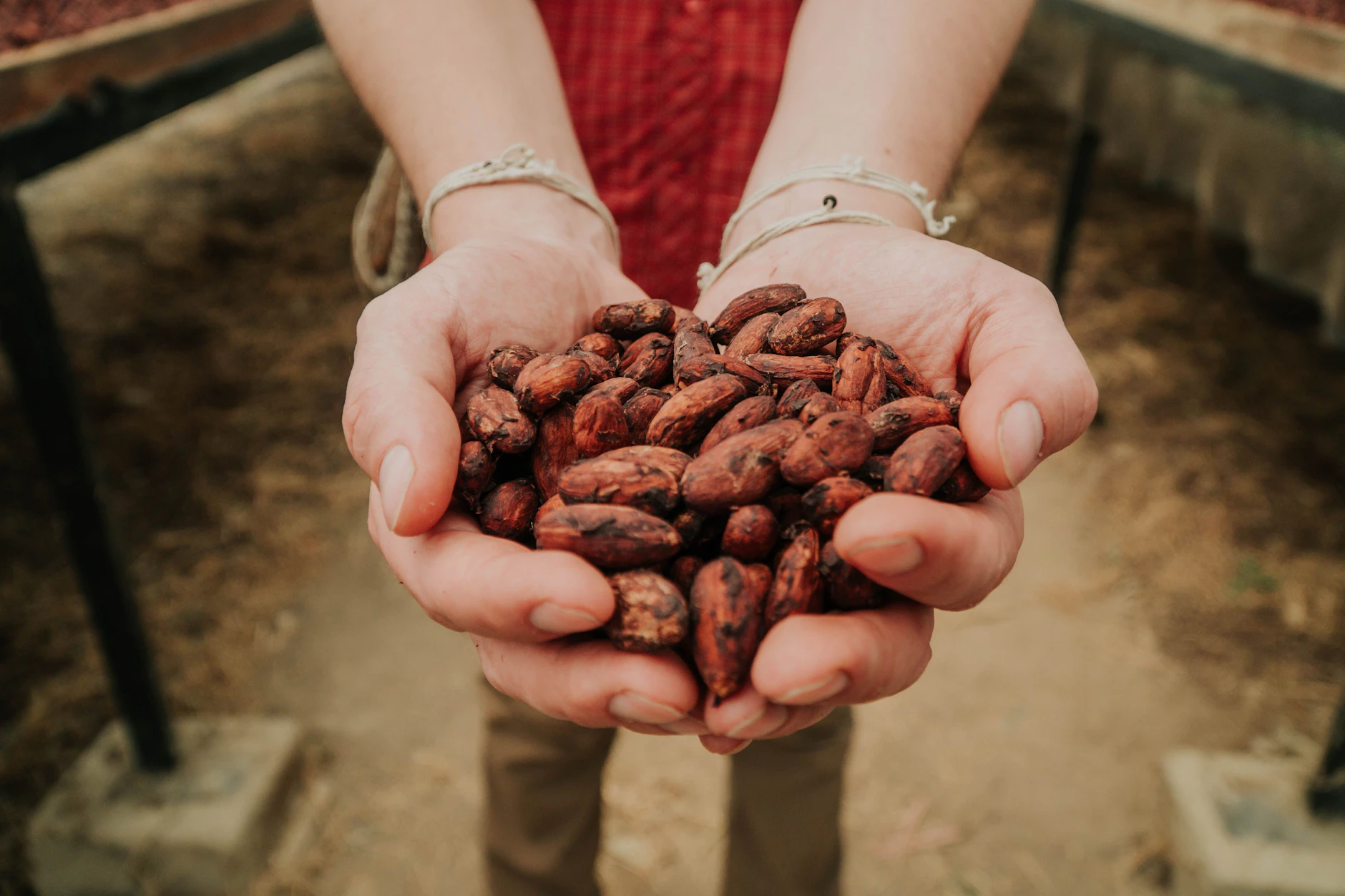 Moruga verarbeitet pure Kakaobohnen zu einer Kakaomasse, die als Alternative zu Kaffee vermarktet wird.