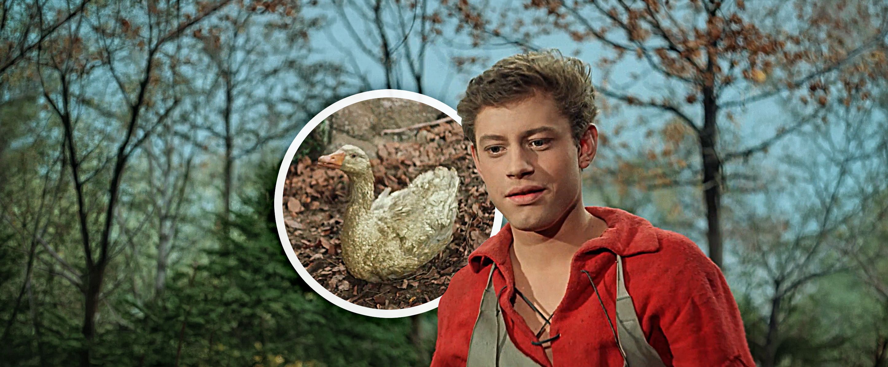 DDR-Legende „Die goldene Gans“: Geheime Tricks des Märchens enthüllt!