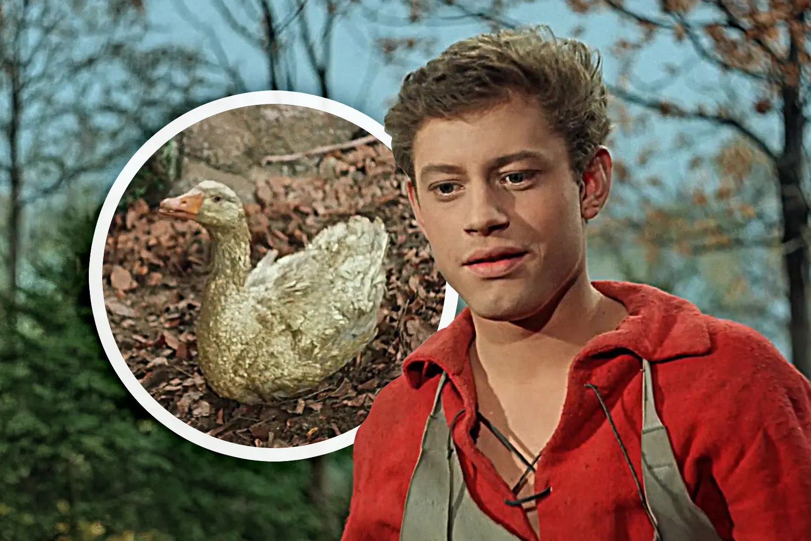 „Die goldene Gans“ ist ein echter Märchenklassiker der DDR. Doch um den Film zu realisieren, musste ordentlich getrickst werden.