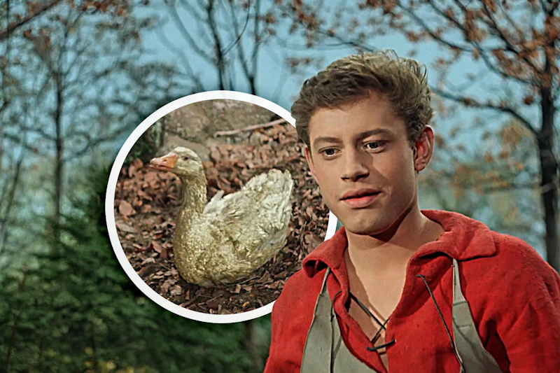 DDR-Legende „Die goldene Gans“: Geheime Tricks des Märchens enthüllt!