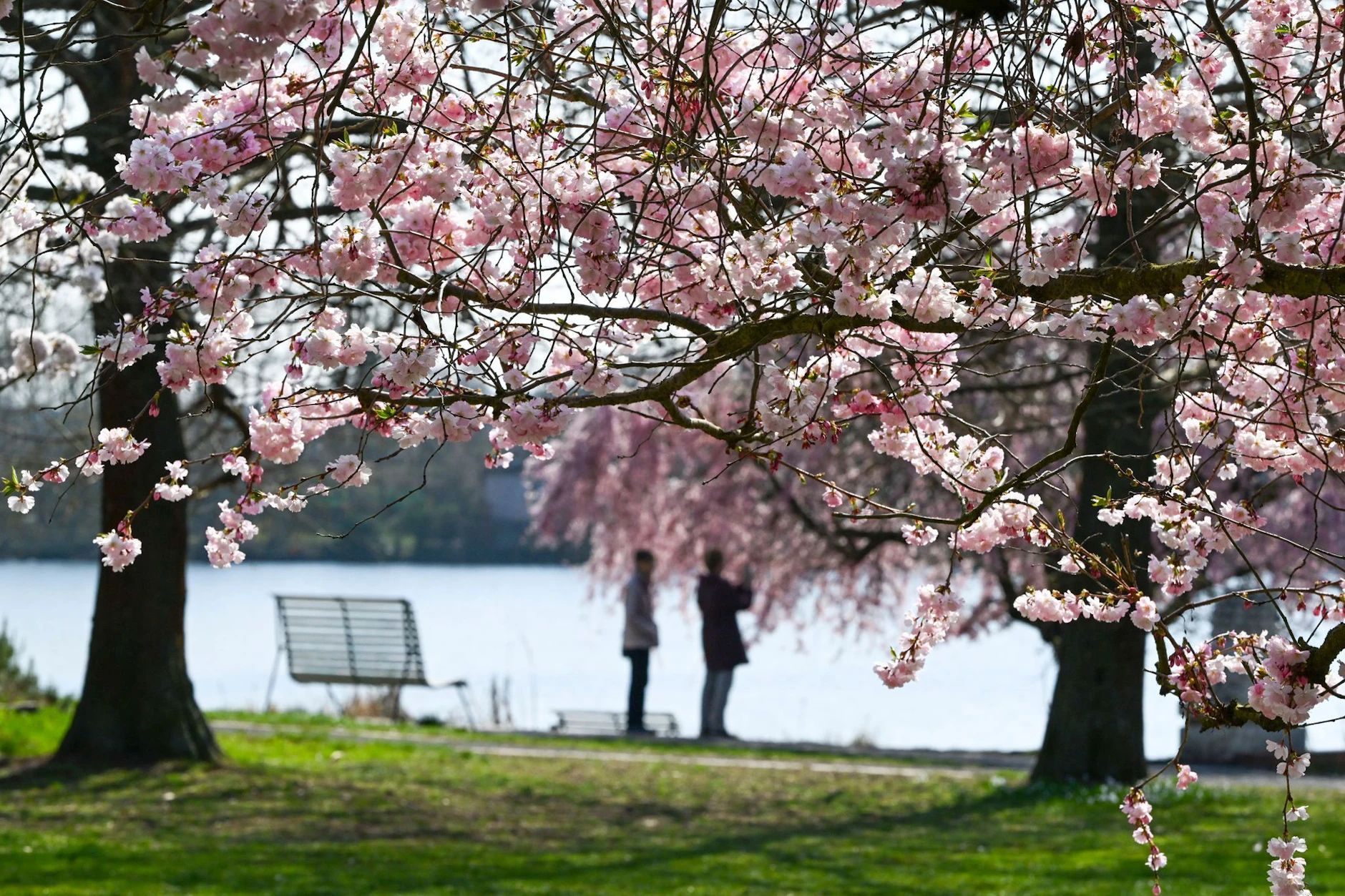 Die Prognosen sahen zuletzt nicht nach Frühling aus. Doch nun könnte es doch sein, dass wir das Wetter über die Ostertage richtig genießen können.