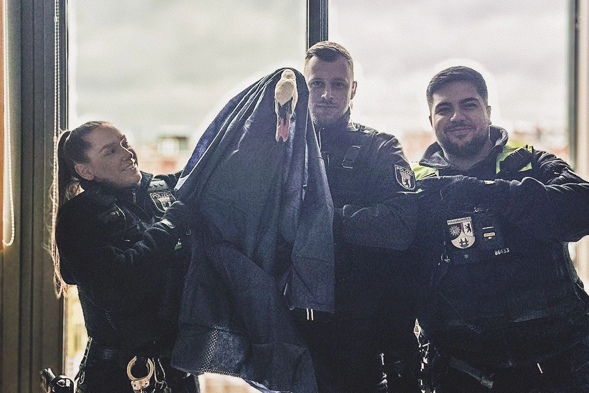 Die Polizei Berlin rettete am Montag einen Schwan aus dem fünften Stockwerk eines Hochhauses.