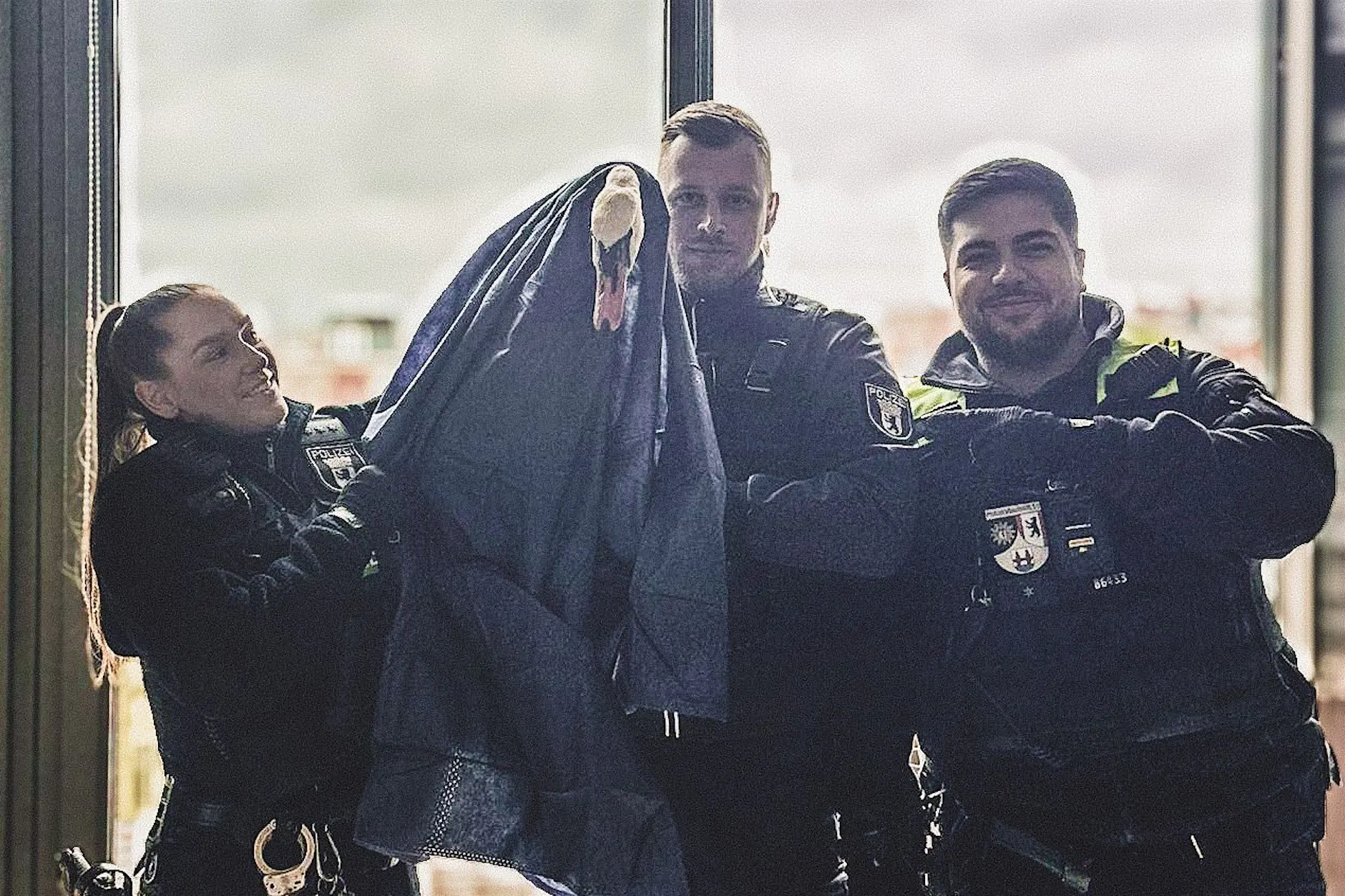 Schwan im 5. Stock: Polizei rettet Tier aus Balkon-Not