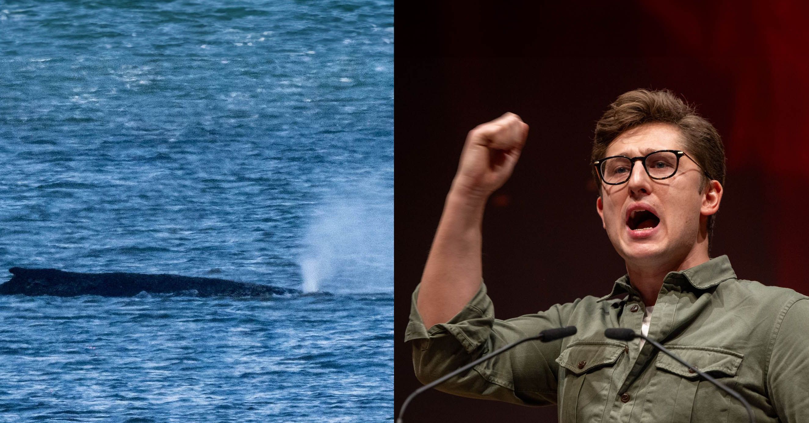 Lieber Philipp Türmer, die SPD ist nicht Buckwal Timmy, sondern die Titanic