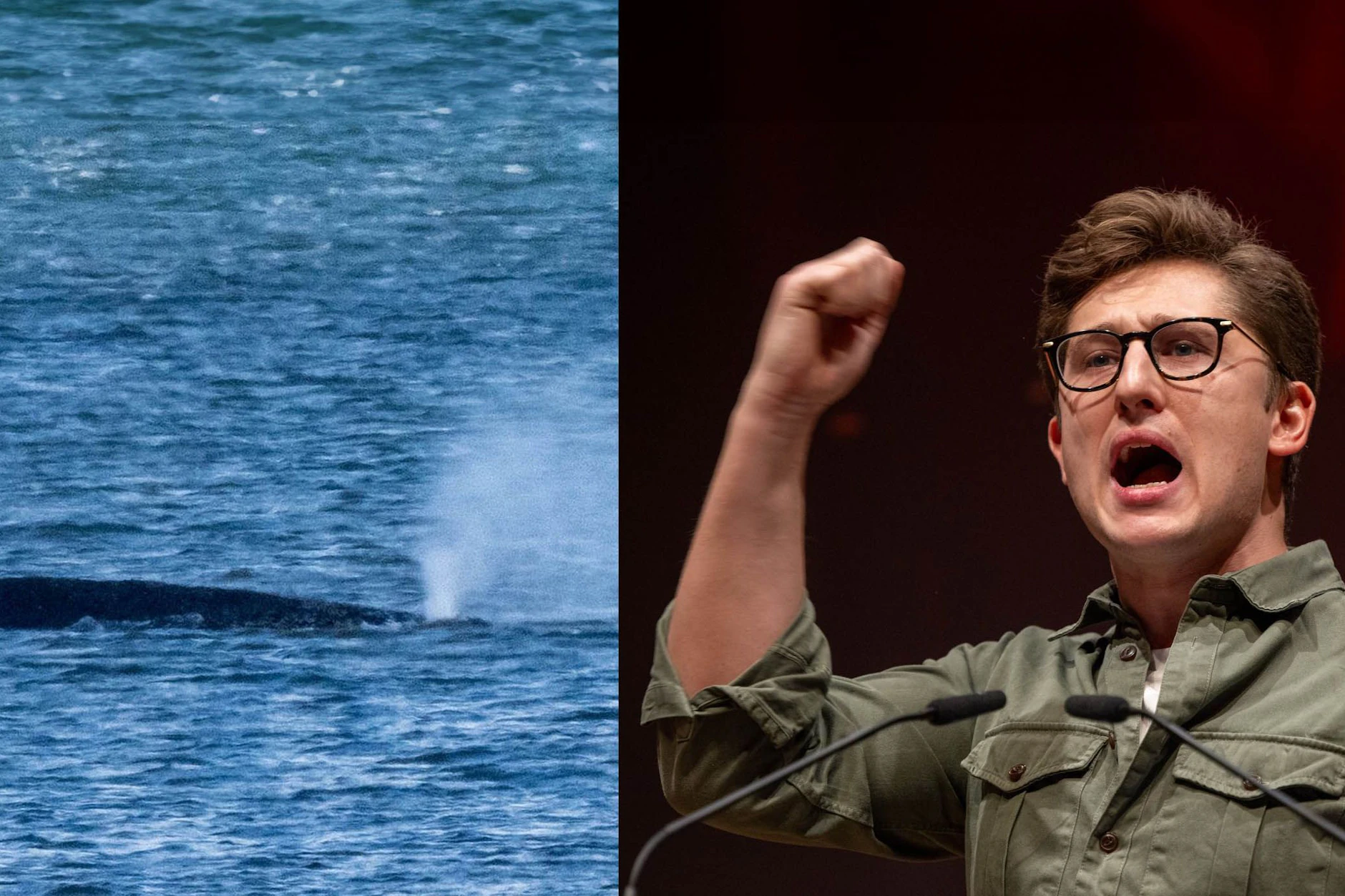 Juso-Chef Philipp Türmer verglich die SPD mit dem Wal in der Ostsee.