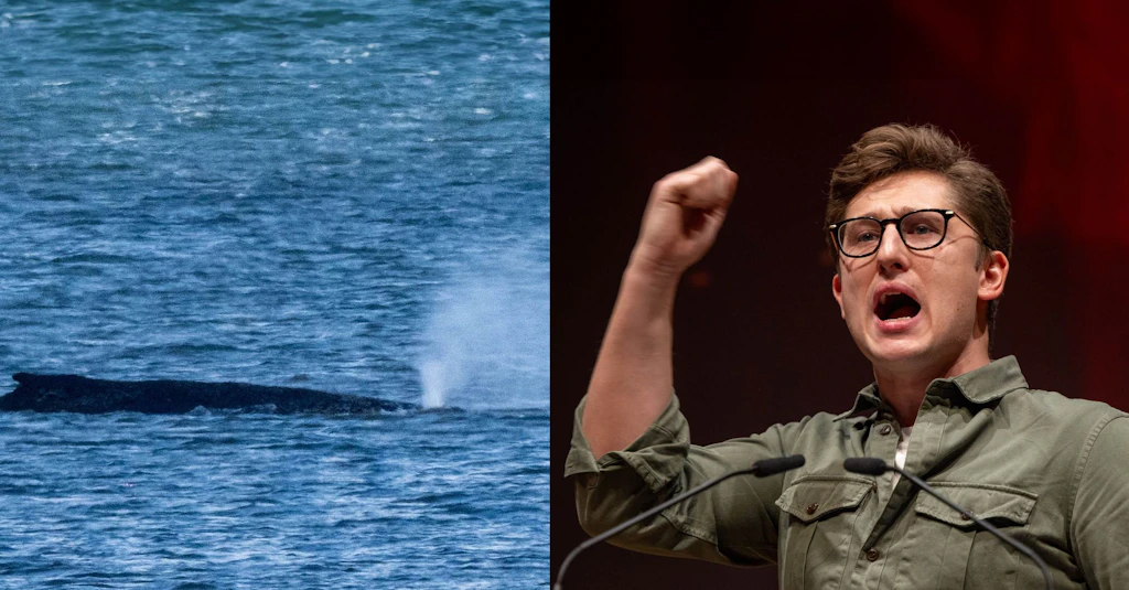 Sevgili Philipp Türmer, SPD Kara Balina Timmy değil, Titanik'tir