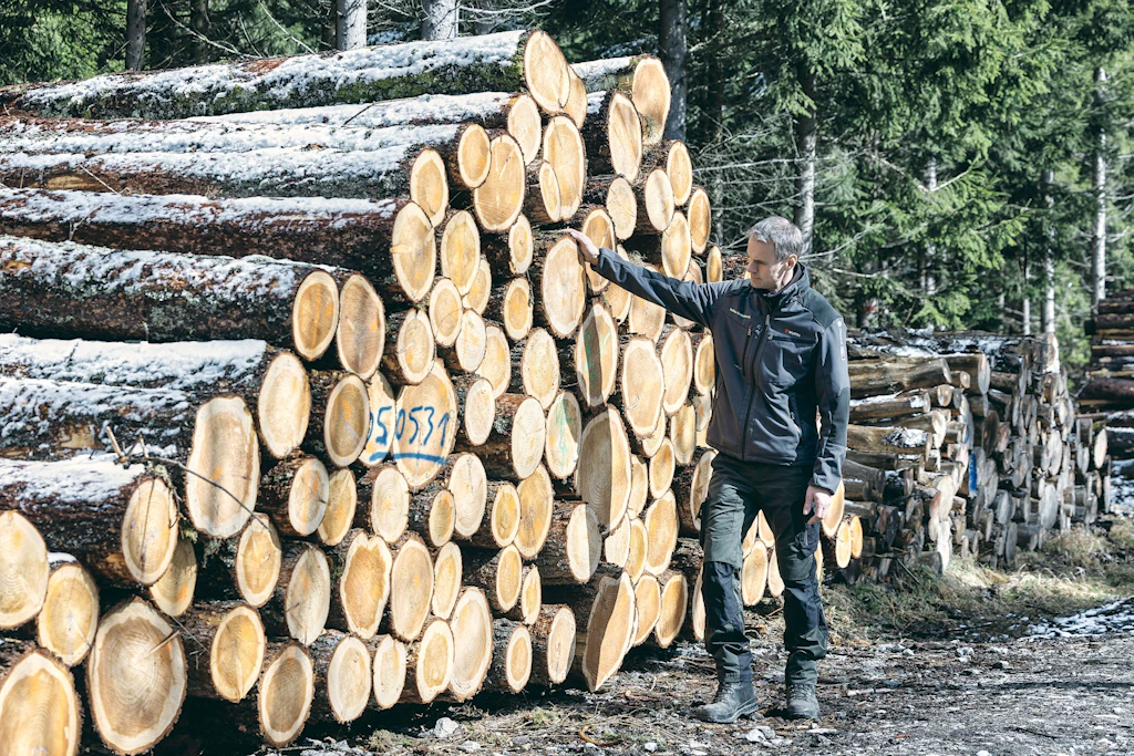Holzbauweise: Das Haus der Zukunft kommt aus einem Wald in Sachsen