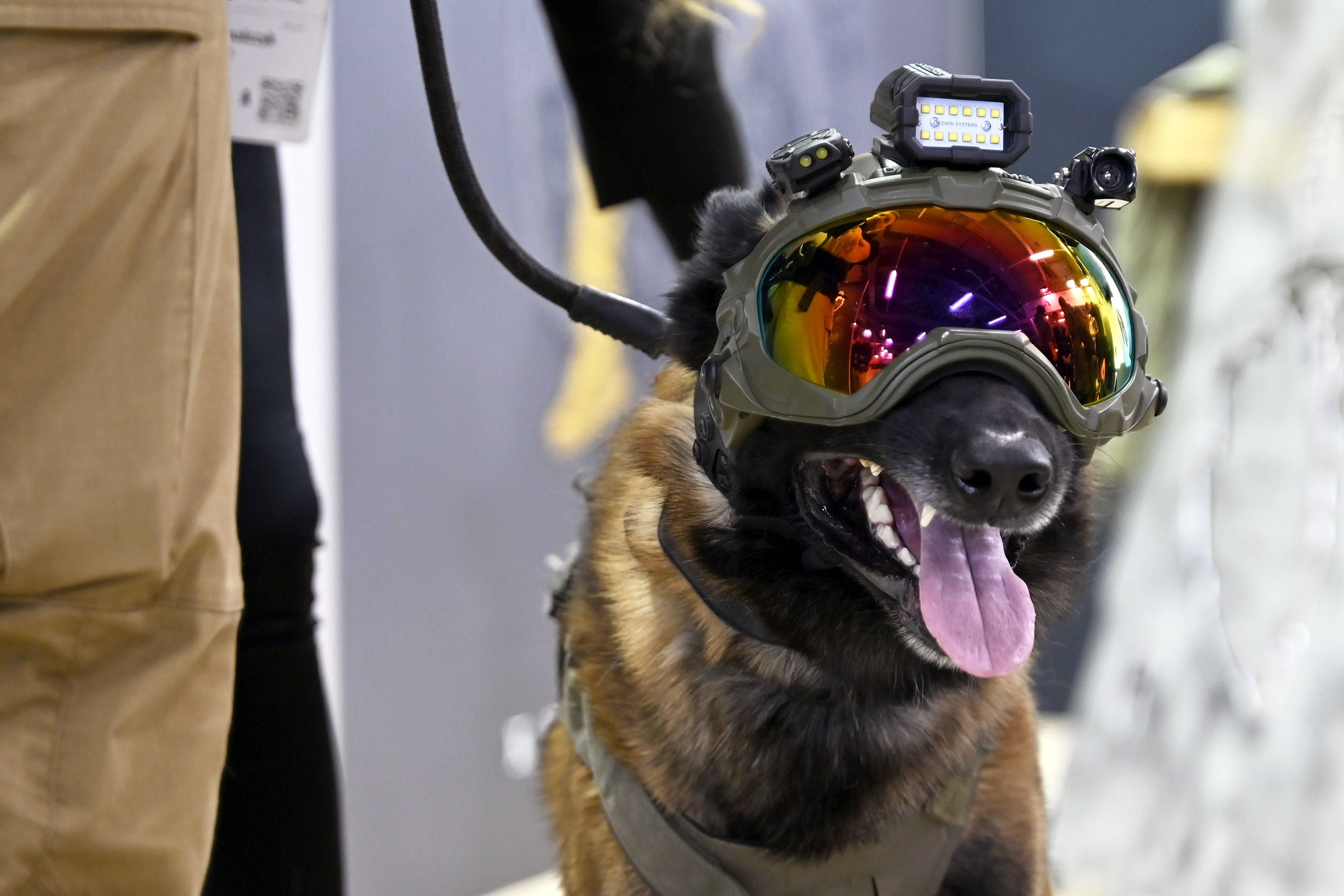 Aufrüstung als Ersatzreligion: Ein Einspruch gegen die Militarisierung im Kopf